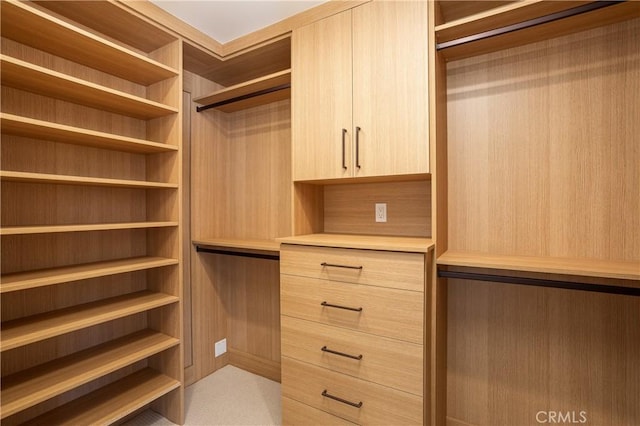 212 E 19th St, Costa Mesa, CA 92627 - view of spacious closet