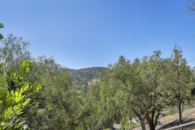 9999 Wornom Ave, Sunland, CA 91040 - mountain view
