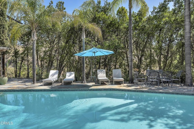 9999 Wornom Ave, Sunland, CA 91040 - swimming pool featuring a patio