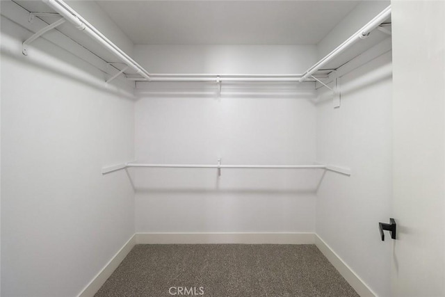 20591 Celtic St, Chatsworth, CA 91311 - walk in closet with carpet flooring