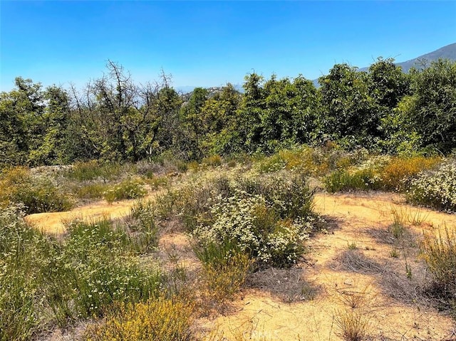 1 Vista Del Mar, Temecula, CA 92590 - photo 4