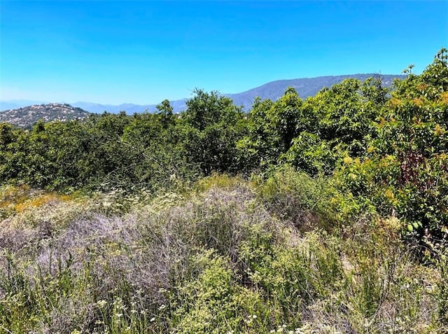 1 Vista Del Mar, Temecula, CA 92590 - photo 12