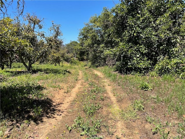4 Los Gatos Rd, Temecula, CA 92590