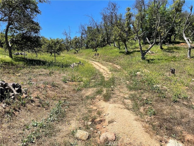 4 Los Gatos Rd, Temecula, CA 92590