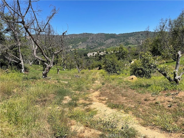 4 Los Gatos Rd, Temecula, CA 92590