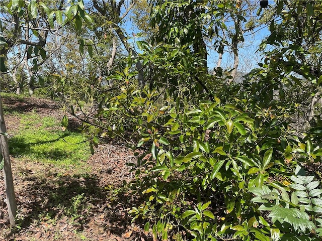 4 Los Gatos Rd, Temecula, CA 92590