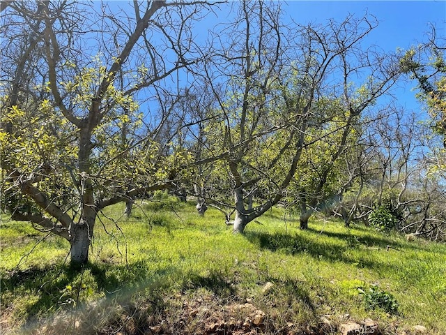4 Los Gatos Rd, Temecula, CA 92590