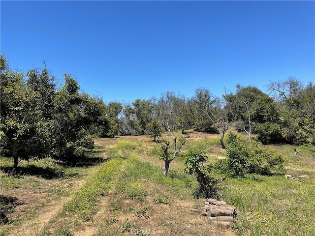 4 Los Gatos Rd, Temecula, CA 92590