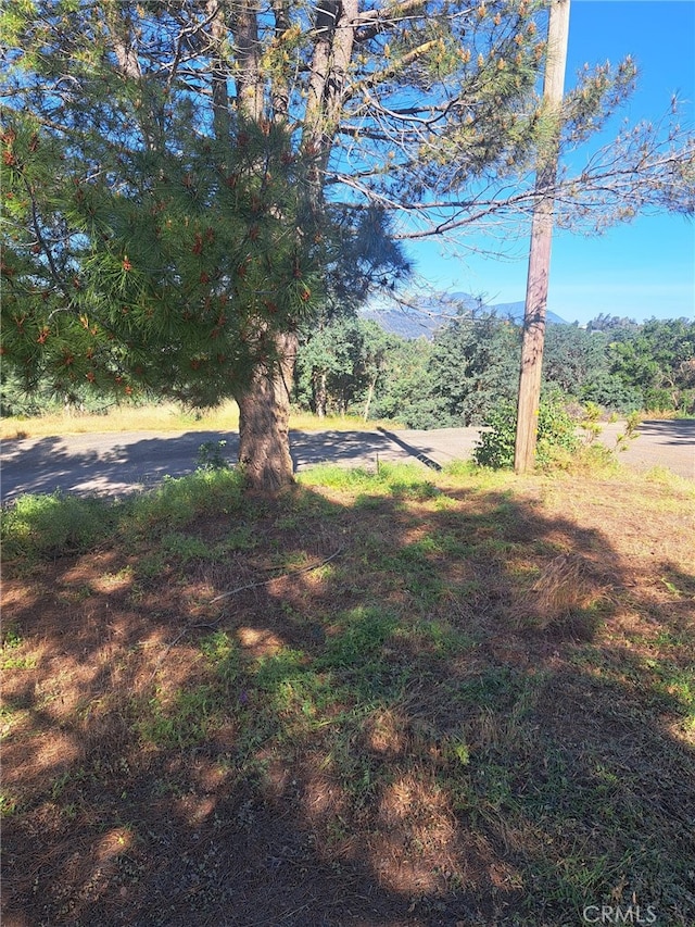 16125 14th Ave, Clearlake, CA 95422
