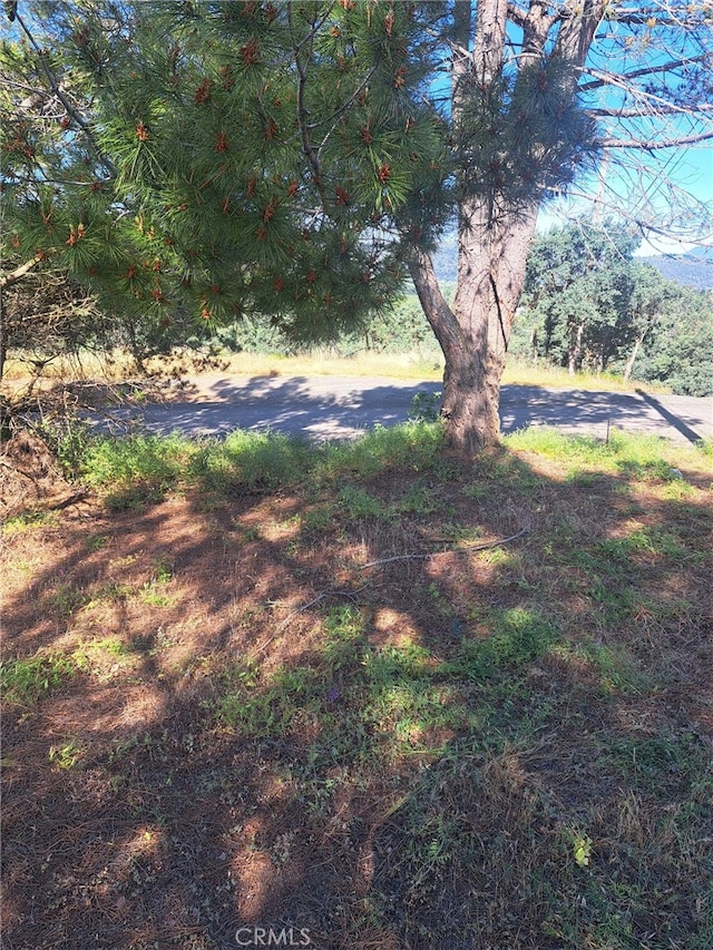 16125 14th Ave, Clearlake, CA 95422