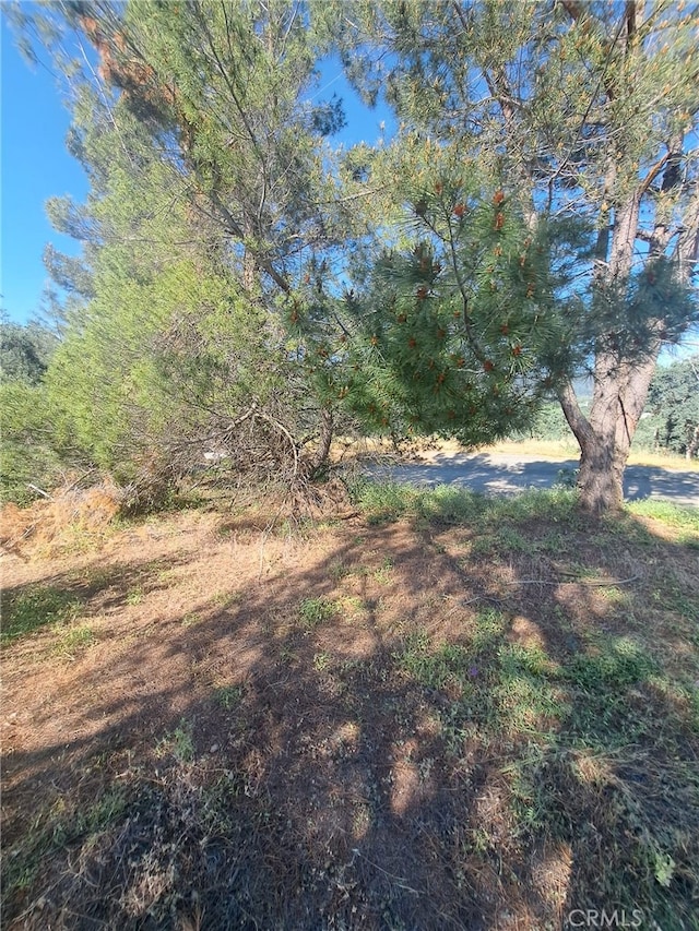 16125 14th Ave, Clearlake, CA 95422