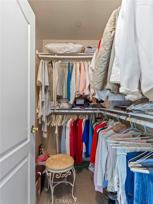 421 E Santa Anita Ave Unit 101, Burbank, CA 91501 - walk in closet with carpet flooring