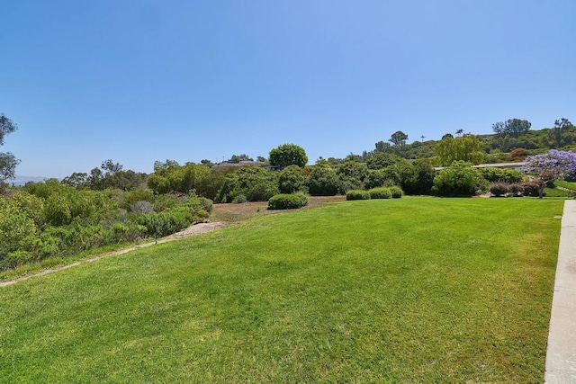942 Royal Tern Way, Oceanside, CA 92057 - view of green lawn