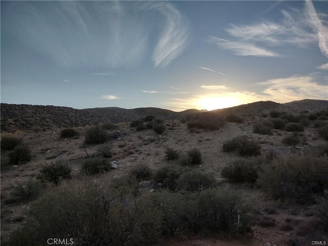 50565 Burns Canyon Rd, Pioneertown, CA 92252 - photo 11