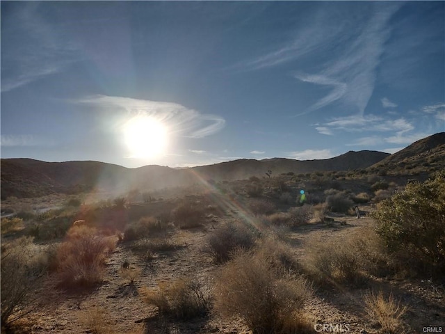 50565 Burns Canyon Rd, Pioneertown, CA 92252 - photo 14