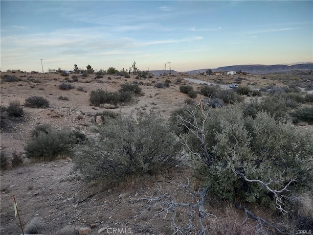 50565 Burns Canyon Rd, Pioneertown, CA 92252 - photo 4