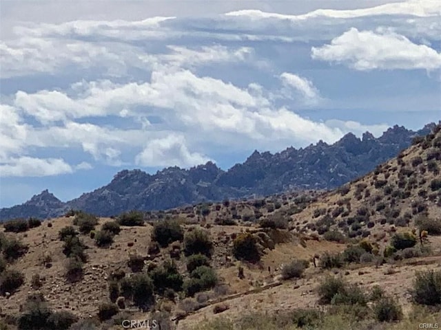 50565 Burns Canyon Rd, Pioneertown, CA 92252 - photo 10