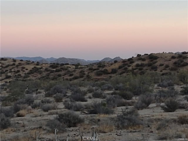 50565 Burns Canyon Rd, Pioneertown, CA 92252 - photo 1