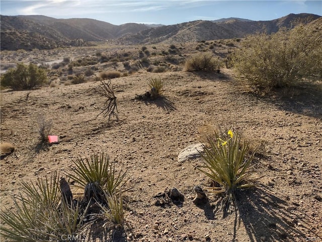50565 Burns Canyon Rd, Pioneertown, CA 92252 - photo 5