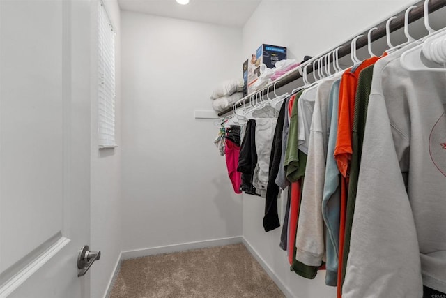 39381 Corvina Ln, Temecula, CA 92591 - walk in closet featuring carpet floors