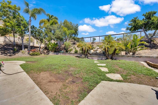 1159 Avenida Azul, San Marcos, CA 92069 - view of yard
