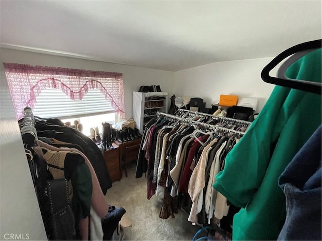 13431 Olympus Dr, Westminster, CA 92683 - spacious closet with carpet flooring