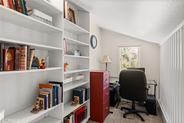 24825 Florence Ave, Corning, CA 96021 - office featuring lofted ceiling, a textured ceiling, and carpet flooring