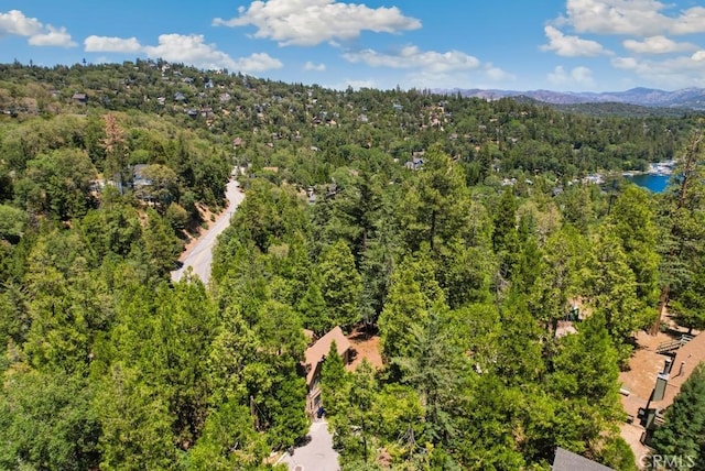 27532 N Bay Rd, Lake Arrowhead, CA 92352 - bird's eye view of a forest and a water and mountain view
