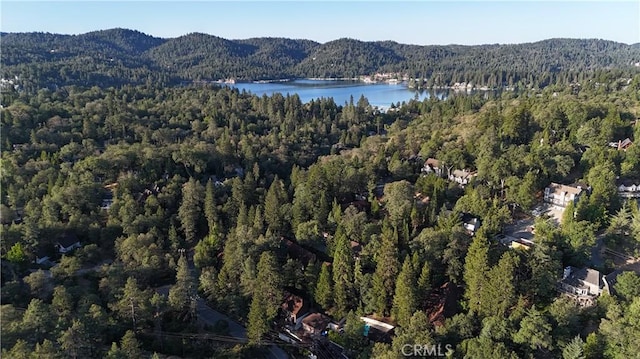 966 Willow Creek Rd Unit 14, Lake Arrowhead, CA 92352 - aerial overview of property's location featuring a heavily wooded area and a water and mountain view