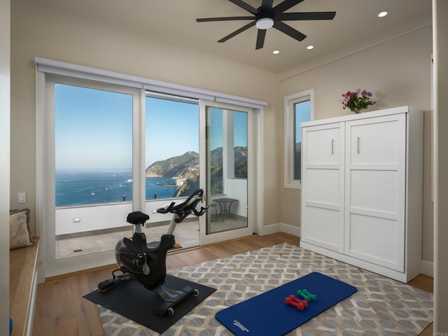 211 Mar De Cortez, Avalon, CA 90704 - workout area with ceiling fan, wood finished floors, and recessed lighting