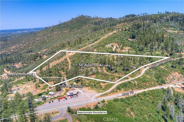 12059 Andy Mountain Rd, Oroville, CA 95965 - photo 2