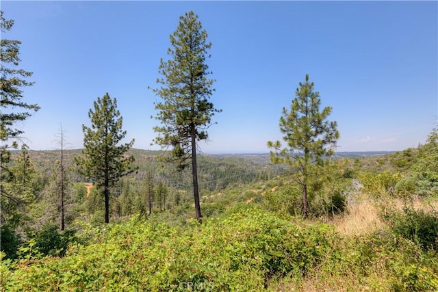 12059 Andy Mountain Rd, Oroville, CA 95965 - photo 9