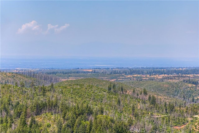 12059 Andy Mountain Rd, Oroville, CA 95965 - photo 10