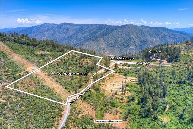 12059 Andy Mountain Rd, Oroville, CA 95965 - photo 4