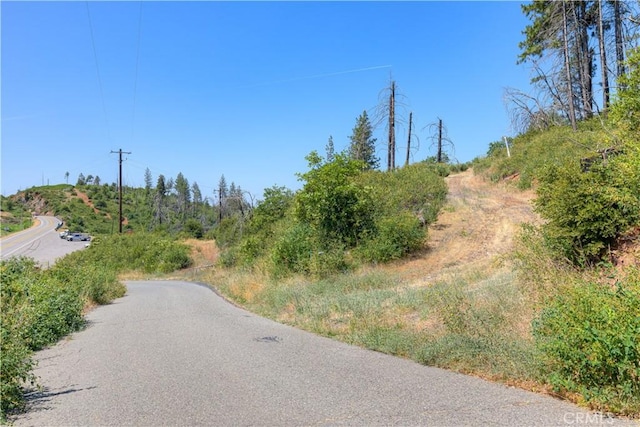 12059 Andy Mountain Rd, Oroville, CA 95965 - photo 12