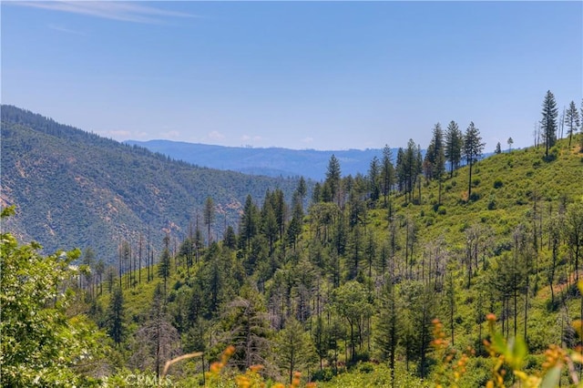 12059 Andy Mountain Rd, Oroville, CA 95965 - photo 13