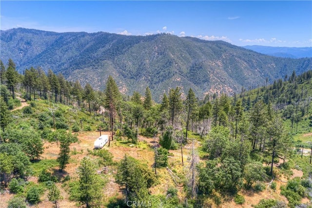 12059 Andy Mountain Rd, Oroville, CA 95965 - photo 5