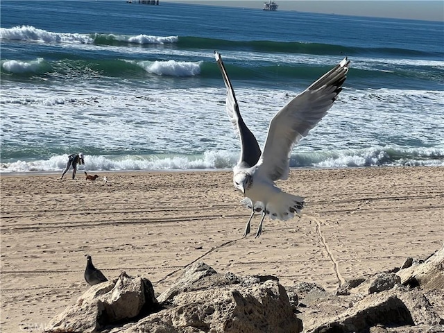 18325 Gum Tree Ln, Huntington Beach, CA 92646 - water view