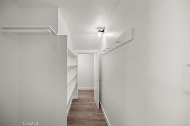 18325 Gum Tree Ln, Huntington Beach, CA 92646 - walk in closet with wood finished floors