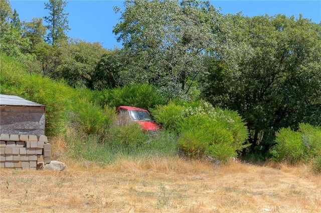 13545 Surcease Mine Rd, Oroville, CA 95965 - view of yard