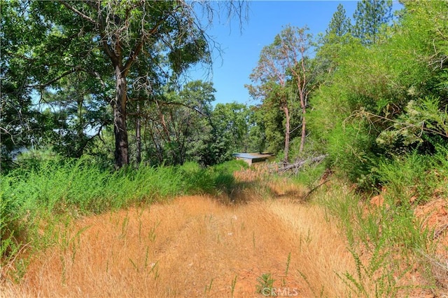 13545 Surcease Mine Rd, Oroville, CA 95965 - view of local wilderness