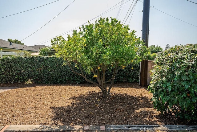 1157 Steffen St, Glendora, CA 91741 - view of yard