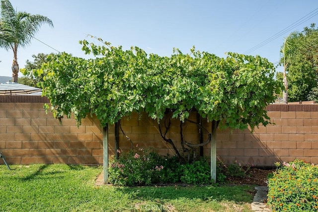 1157 Steffen St, Glendora, CA 91741 - view of yard