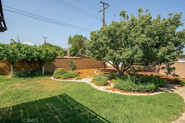 1157 Steffen St, Glendora, CA 91741 - view of fenced backyard