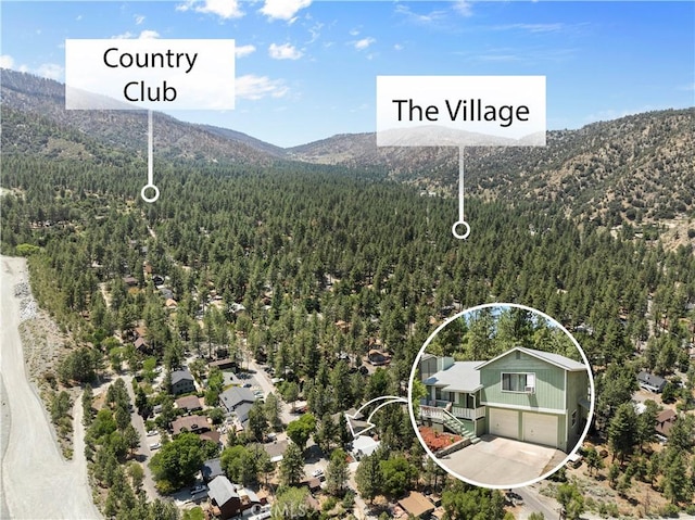 1876 Sparrow Rd, Wrightwood, CA 92397 - bird's eye view of a forest and mountains