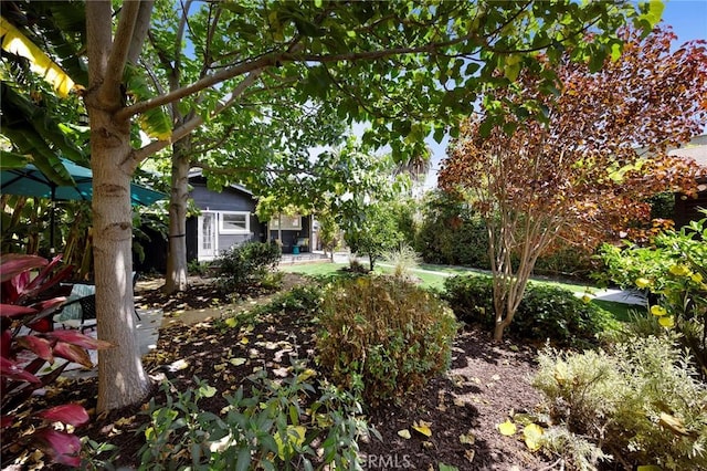 1111 Dawson Ave, Long Beach, CA 90804 - view of yard