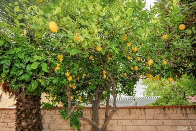 7008 Davenport Ct, Rancho Cucamonga, CA 91701 - exterior view