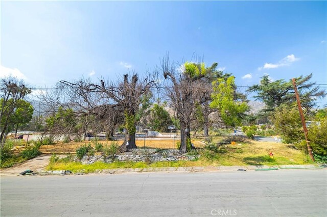 3235 Summit Ave, Altadena, CA 91001 - photo 17