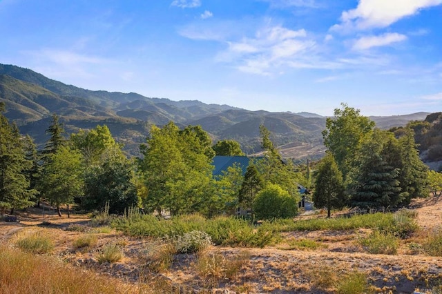 26380 San Felipe Rd, Warner Springs, CA 92086 - mountain view