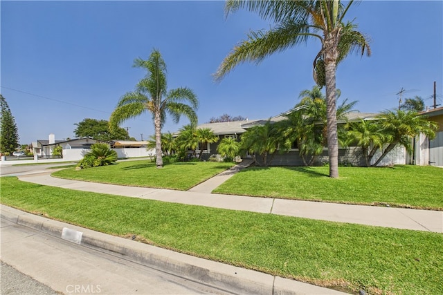 8412 San Marino Dr, Buena Park, CA 90620 - view of property hidden behind natural elements featuring a front yard